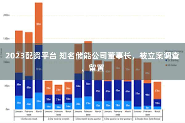 2023配资平台 知名储能公司董事长，被立案调查、留置