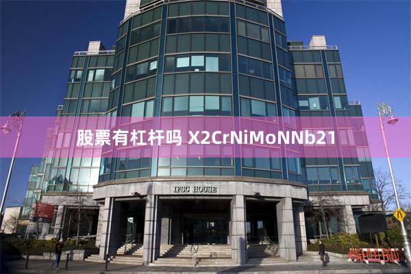 股票有杠杆吗 X2CrNiMoNNb21