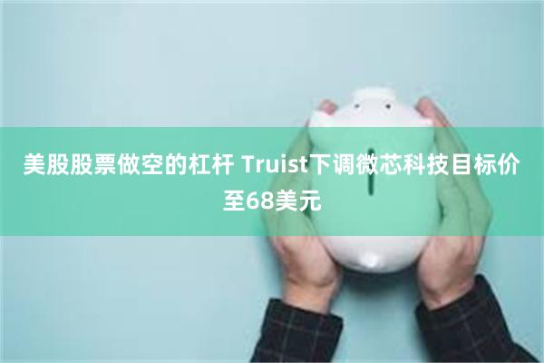 美股股票做空的杠杆 Truist下调微芯科技目标价至68美元