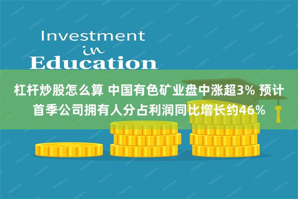 杠杆炒股怎么算 中国有色矿业盘中涨超3% 预计首季公司拥有人分占利润同比增长约46%
