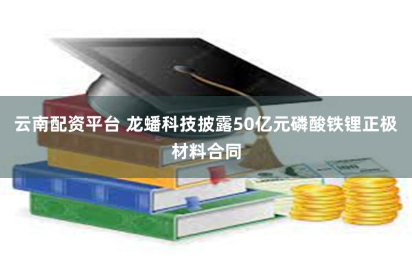 云南配资平台 龙蟠科技披露50亿元磷酸铁锂正极材料合同