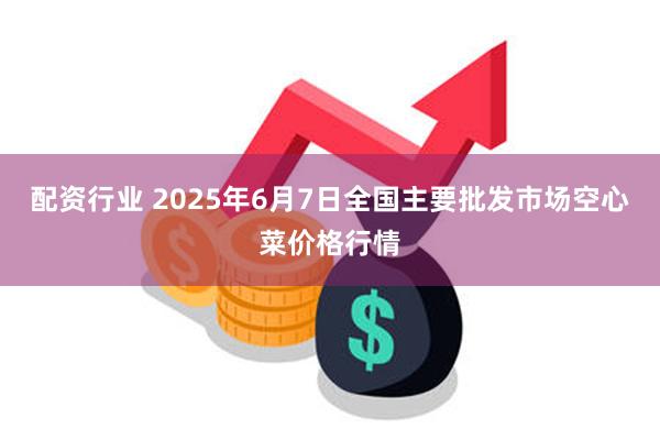 配资行业 2025年6月7日全国主要批发市场空心菜价格行情