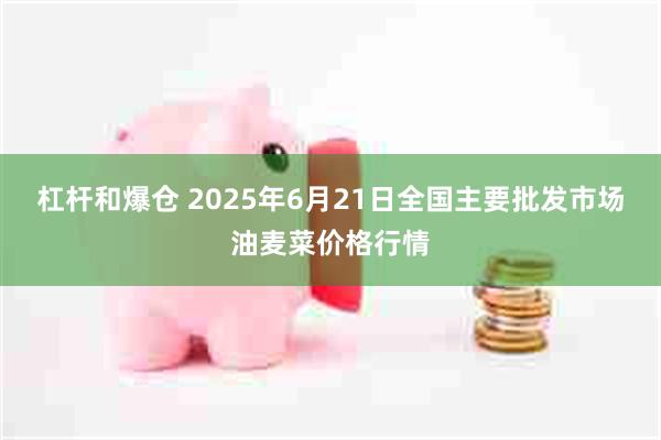 杠杆和爆仓 2025年6月21日全国主要批发市场油麦菜价格行情