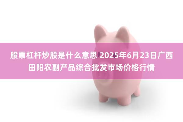 股票杠杆炒股是什么意思 2025年6月23日广西田阳农副产品综合批发市场价格行情